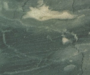Bardiglio
